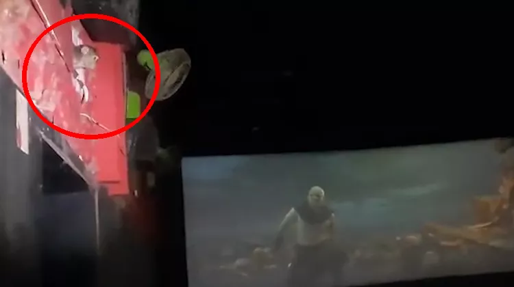 Viral Video: Monkey Spotted In Theater During Adipurush Movie Screening Time
