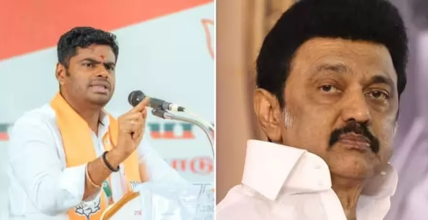 Tamil Nadu BJP Chief Fires On MK Stalin Says Platform Leader - Sakshi