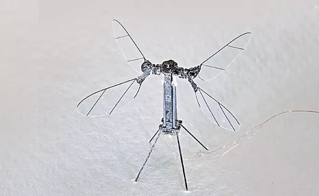 A robotic insect lot of benefits - Sakshi