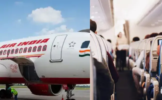 Man Defecates Mid Air On Air India Flight Arrested - Sakshi