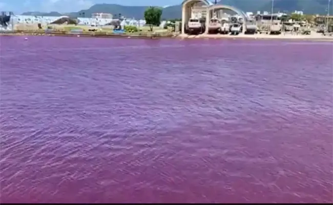 Viral Video: River In Japan Turns Blood Red After Beer Factory Leak - Sakshi