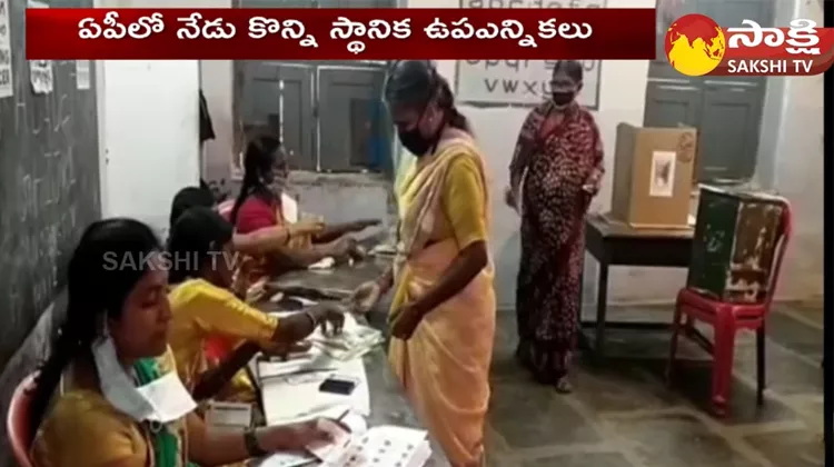 Local Body Elections In Andhra Pradesh