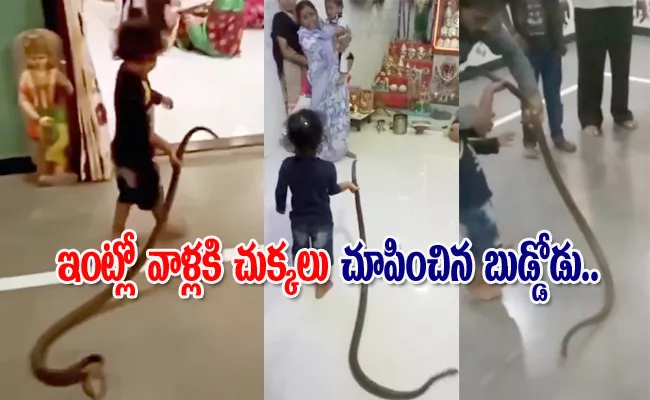 Boy Plays With Snake At Home Funny Video Viral - Sakshi