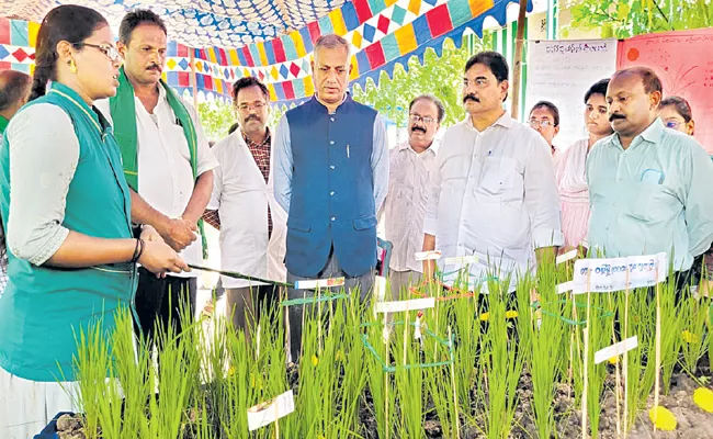 Andhra Pradesh Govt Support For Farmers In Every Step - Sakshi