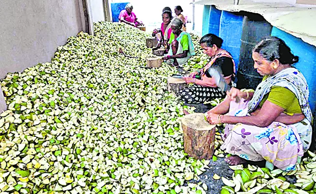 A village of women who grow greens easy - Sakshi