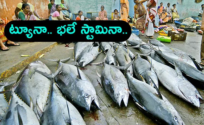Full Demand For Tuna Fish In Many Countries - Sakshi