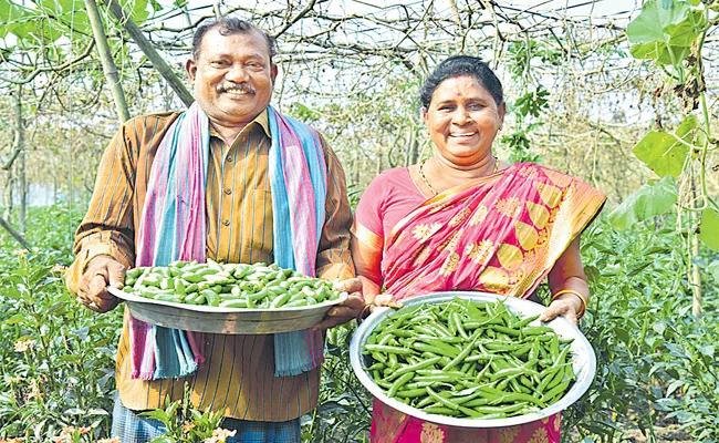 Study Reveals Natural Farming Leads For Yields Livelihoods Health  - Sakshi