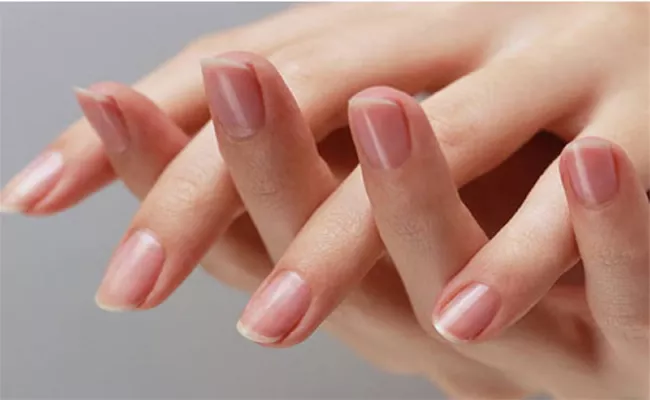 Your Nail Shape Reveals Your Hidden Personality Traits - Sakshi