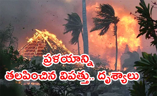 Hawaii Wildfires killed Few Lahaina Several People Jump Into Ocean - Sakshi