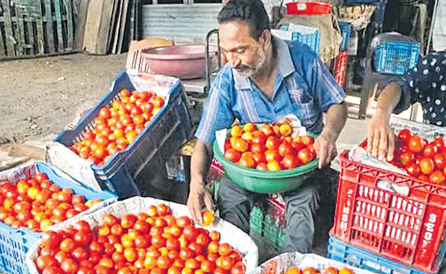 Tomato prices down to Rs 100 to heading to Rs 30 soon - Sakshi