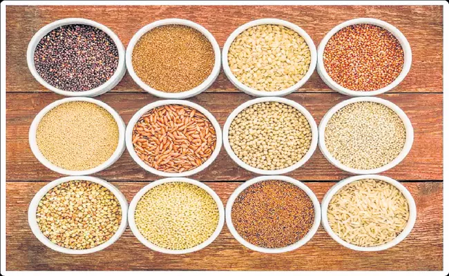 Seeds at 80 percent subsidy in Andhra Pradesh - Sakshi
