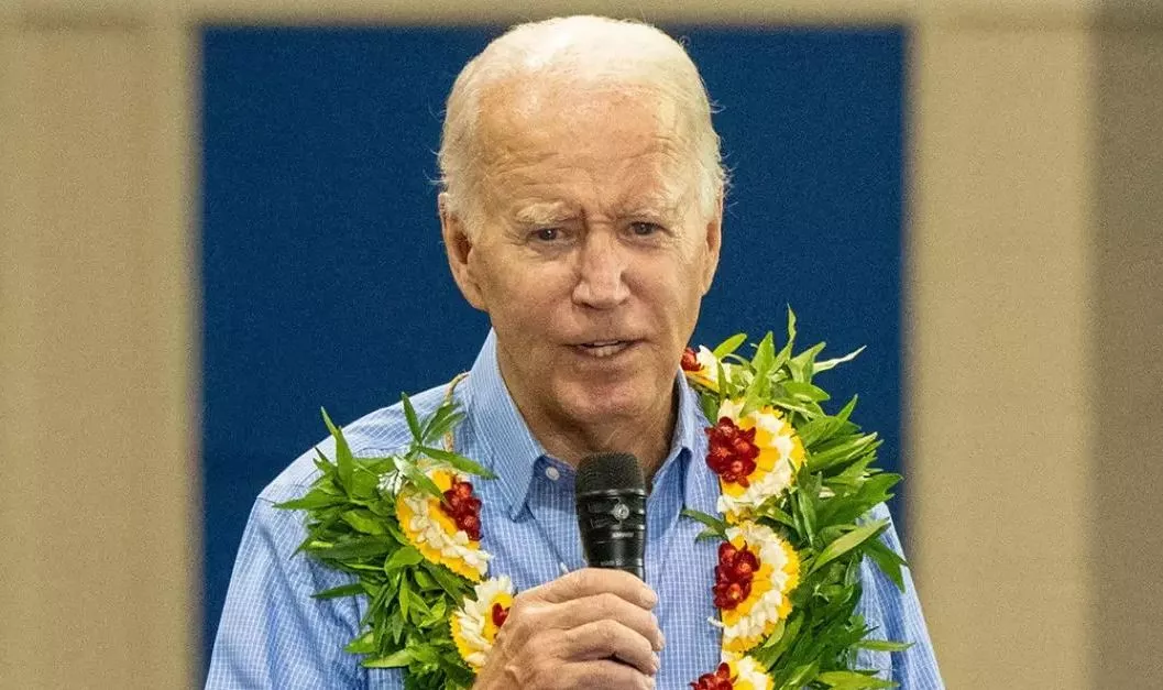Joe Biden Compares Maui Wildfires To Kitchen Fires - Sakshi
