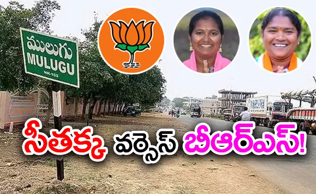 Warangal: Who Will Next Incumbent in Mulugu Constituency - Sakshi