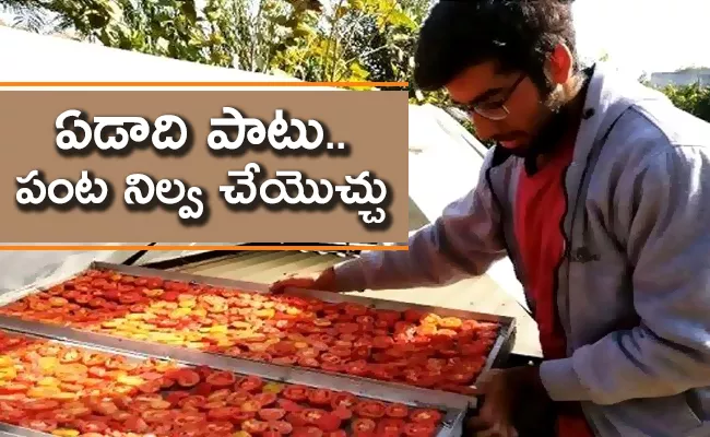 Meet Varun Raheja Who Made Solar Dryers To Help Farmers - Sakshi
