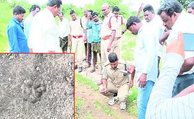 Forest And Police Officials Examining The Footprints - Sakshi