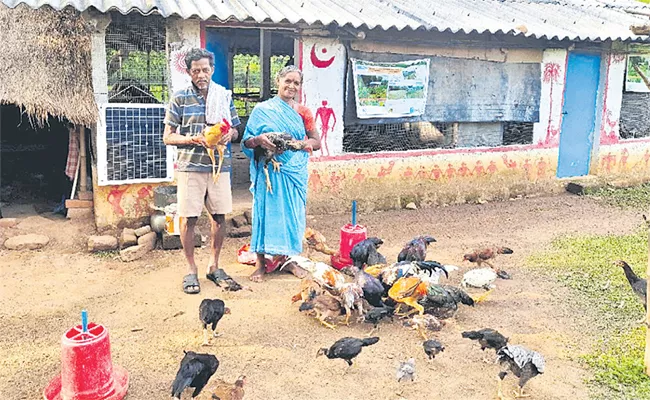 Female Farmers Getting Profits By Country Chicken Farms - Sakshi