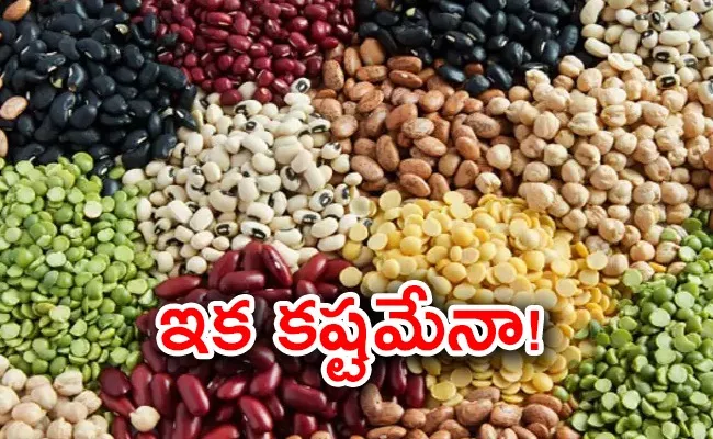 Pulses Prices are Likely to Increase in India Check the Reason - Sakshi
