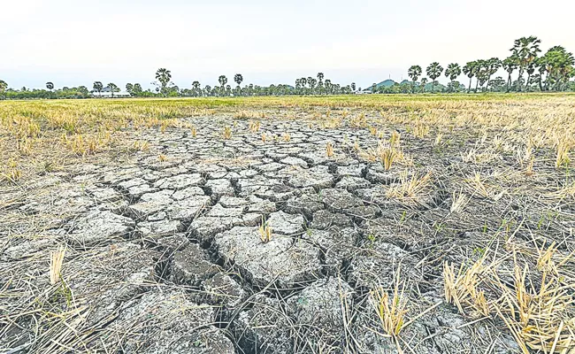 Over 70percent of India reporting drought-like conditions - Sakshi