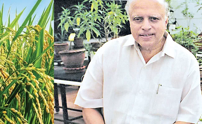 Father of India Green Revolution: Agricultural scientist MS Swaminathan passes away - Sakshi