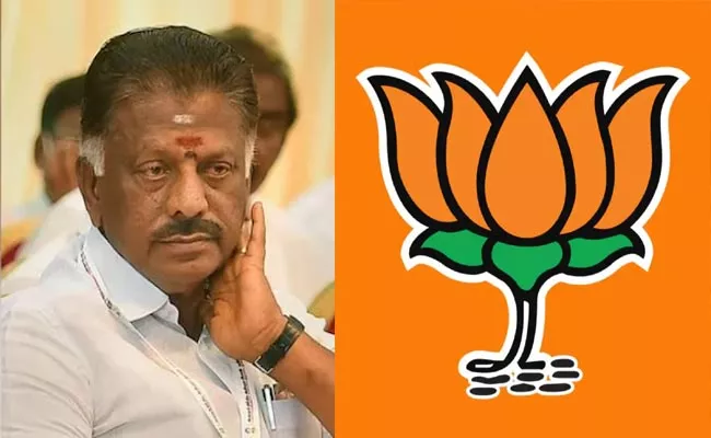 Panneerselvam Says BJP Leadership Contact With Him - Sakshi