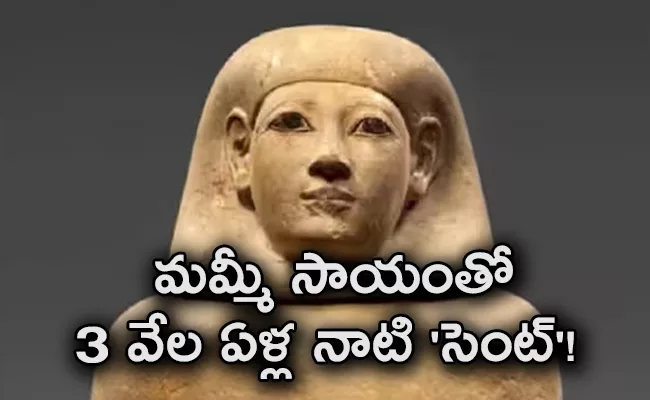 Scientists Recreate Ancient Scent Used In The Mummification  - Sakshi