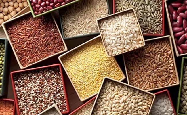 millet based foods Centre second PLI scheme for processing - Sakshi