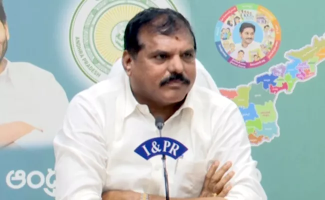 Minister Botsa Satyanarayana Fires On The Opposition - Sakshi