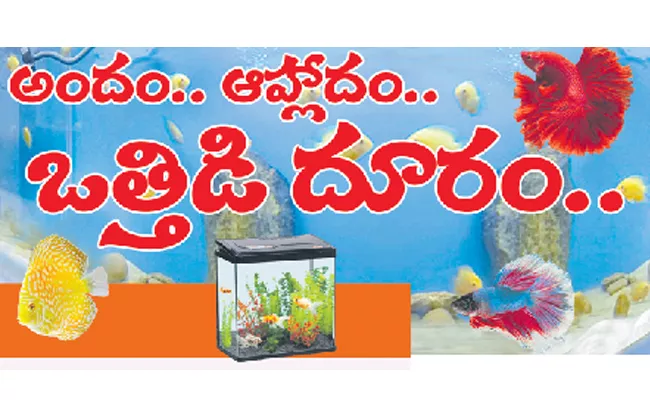 Spending some time looking at the fishes moving in the water is a stress reliever - Sakshi