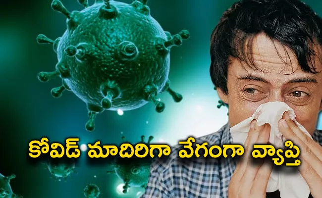 Influenza Cases Are Rise In Adilabad District - Sakshi