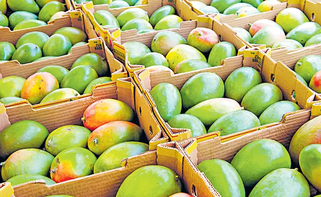 Andhra Pradesh  top is mango growing state in the country  - Sakshi