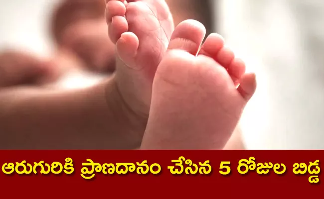 Surat Newborn Declared Brain Dead Parents Donates His Organs - Sakshi