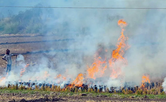 Nasa Imagery on Punjab Farm Fires Show Good Trend - Sakshi