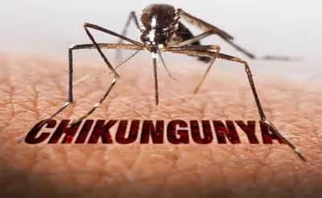 USFDA approves first chikungunya vaccine - Sakshi