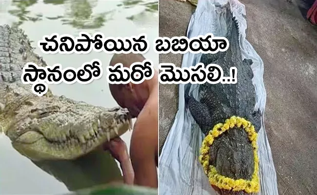 After Babiya New Crocodile Seen In Ananthapadmanabha Temple Kerala - Sakshi