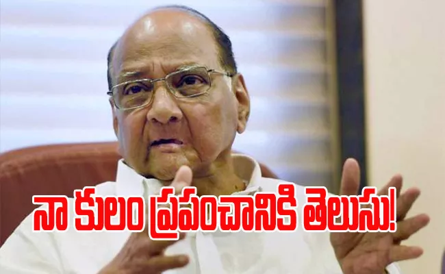 Don Want To Hide My Caste Sharad Pawar As Certificate Goes Viral - Sakshi