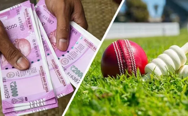 Earn Money With Cricket World Cup Match - Sakshi