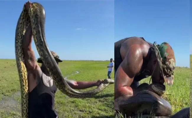 Man Catches Huge Anaconda With Bare Hands Viral Video - Sakshi