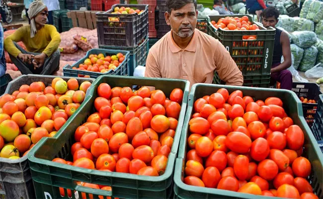 Tomato Prices Again Start to Hike - Sakshi