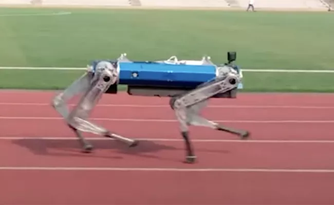 Robo dog sets new 100 meter sprint Guinness World Record - Sakshi