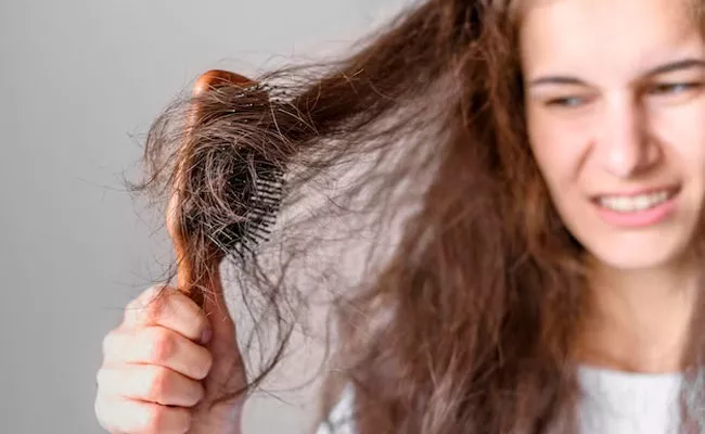 How To Stop Hair Fall Using Natural Ingredients - Sakshi