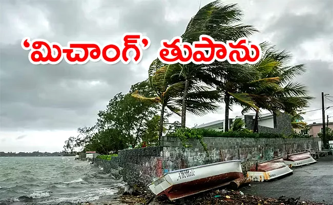 Impact Of Cyclone Michaung On Coastal Andhra And Rayalaseema - Sakshi