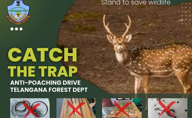 Forest Department Special Drive on Prevention of Wildlife Poaching - Sakshi