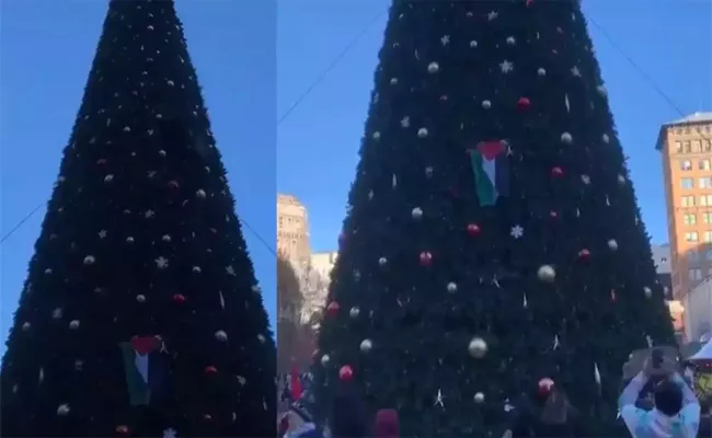 Pro Palestine Protesters Scale 83 Ft Tall Christmas Tree Goes Viral - Sakshi