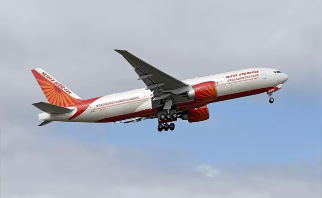 Air India Staffers One Passenger Arrested In Delhi Airport - Sakshi