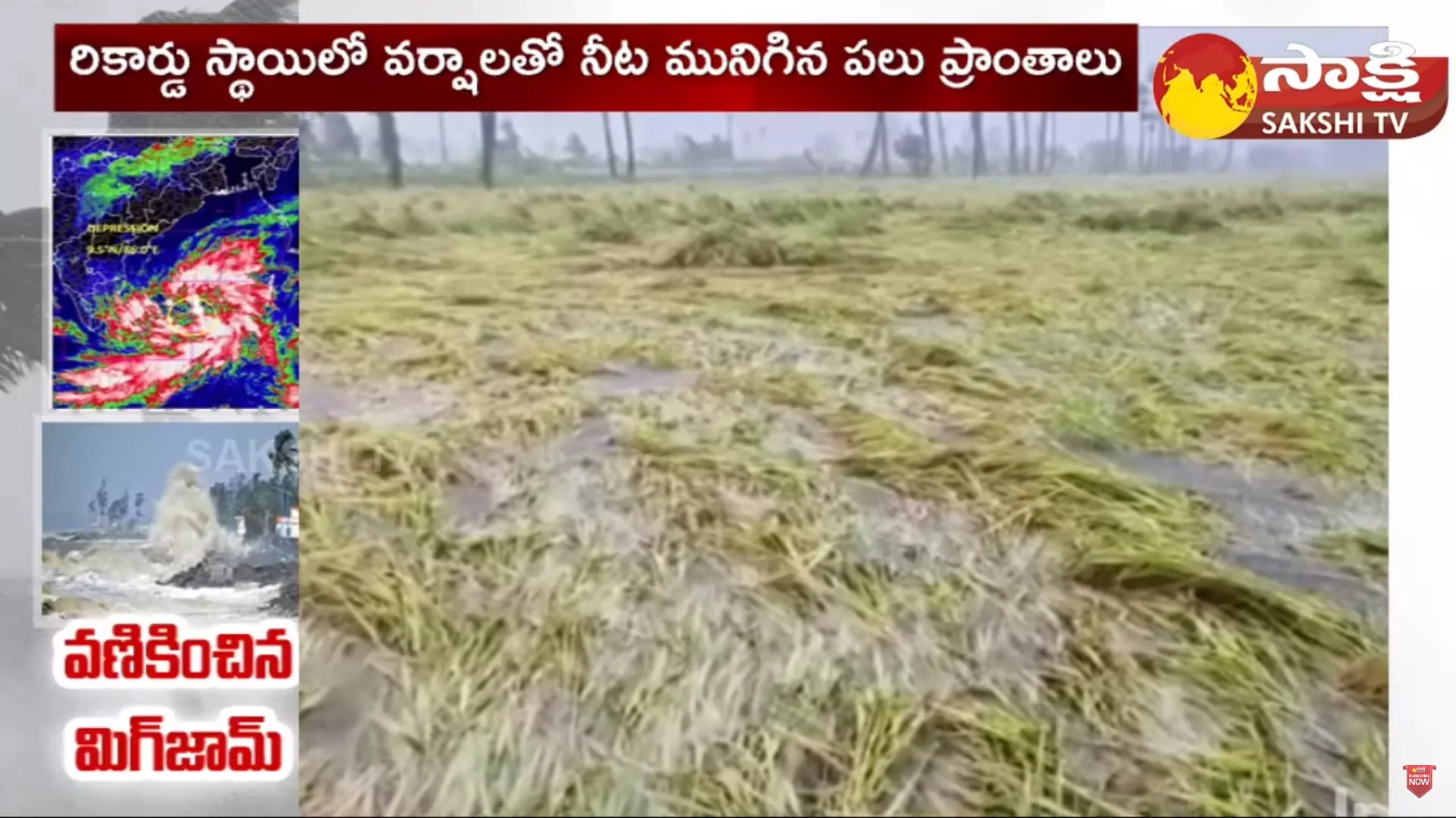 AP Situation After Cyclone Michaung Huge Crop Damage in AP