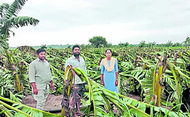 Special teams for crop damage assessment - Sakshi
