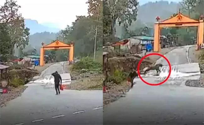 Man Narrowly Escapes Tiger Attack - Sakshi