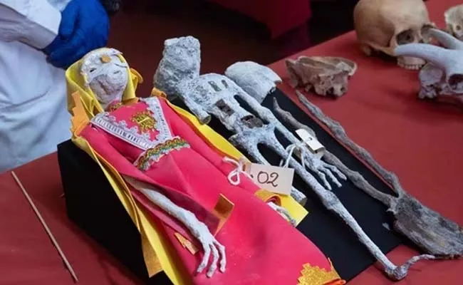 Scintists Revealed Mystery Behind Peru Alien Mummies - Sakshi