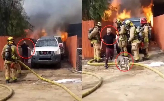 Man Jumps Into Burning House to Save Dog - Sakshi