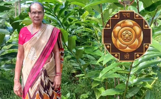 Meet Nariyal Amma gets Padma Shri for organic coconut farming - Sakshi